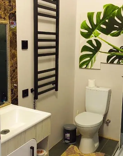 In Bozdosh Estate Appartement Oezjhorod